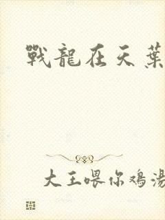 战龙在天叶凡