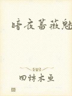 暗夜蔷薇魅之伤