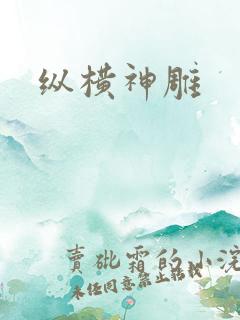 纵横神雕