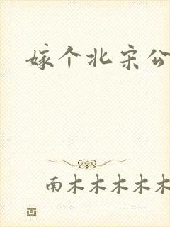 嫁个北宋公务员