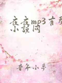 夜夜mp3有声小说网