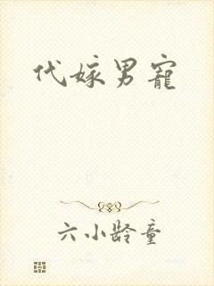 代嫁男宠