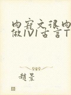 肉宠文很肉到处做1V1古言T