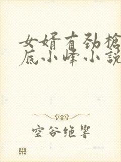 女婿有劲枪枪到底小峰小说