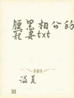 腹黑相公的庶女宠妻txt