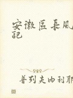 安徽区长风流日记