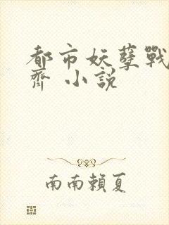 都市妖孽战神林齐 小说