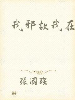 我邪故我在