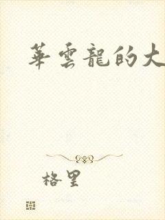 华云龙的大宝贝