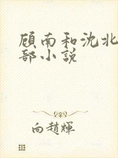 顾南和沈北是哪部小说