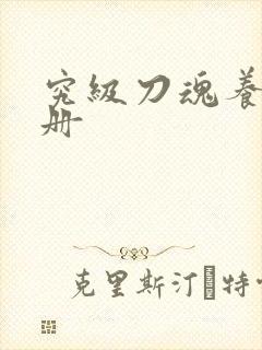 究级刀魂养成手册