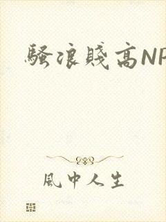骚浪贱高NPH