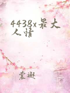 4438x最大人情