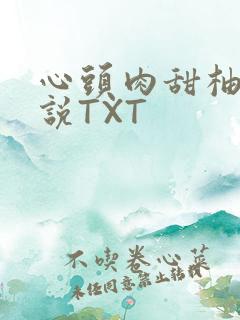 心头肉甜柚子小说TXT