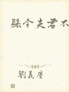 县令夫君不升堂