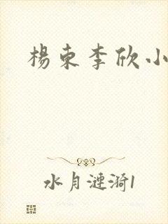 杨东李欣小说