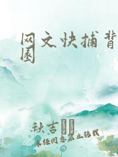 网文快捕背影家园