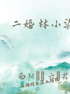 二婚 林小染