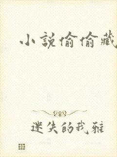 小说偷偷藏不住