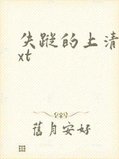 失踪的上清寺txt