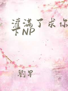 灌满了求你们停下NP