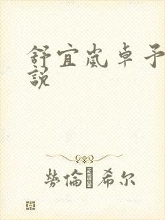 舒宜岚卓予淮小说