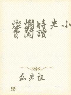 灿烂时光小说免费阅读