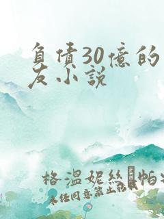 负债30亿的男友小说