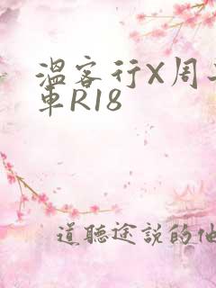 温客行X周子舒车R18
