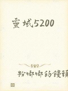 灵域5200