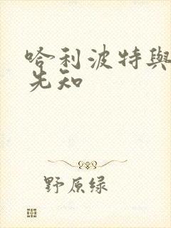 哈利波特与冒牌先知