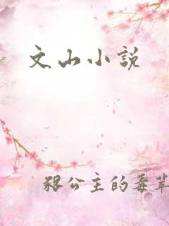 文山小说