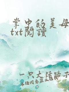 掌中的美母版主txt阅读