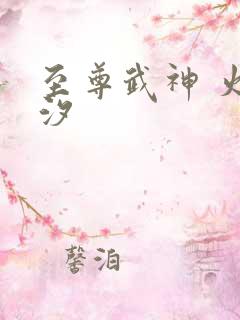 至尊武神 火龙汐