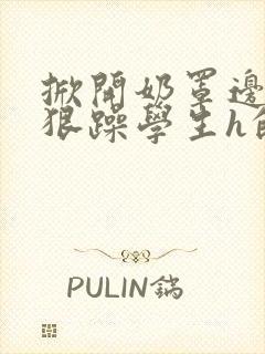 掀开奶罩边躁狠狠躁学生h的小说