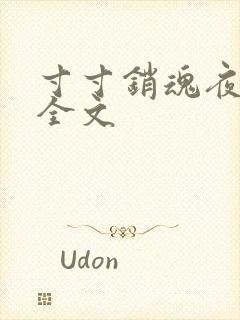 寸寸销魂夜春光全文