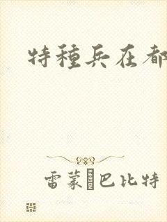 特种兵在都市