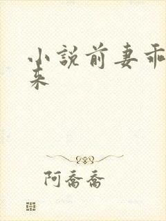 小说前妻乖乖回来