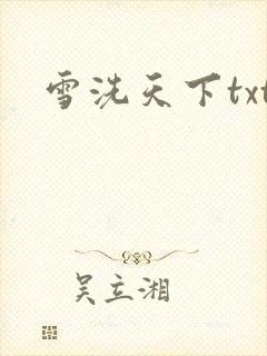 雪洗天下txt