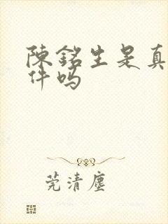 陈铭生是真实事件吗