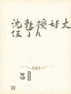 沈教授好大含不住了h