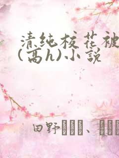 清纯校花被调教(高h)小说