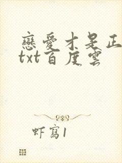 恋爱才是正经事txt百度云