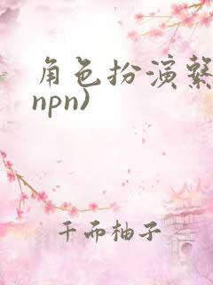 角色扮演系统(npn)