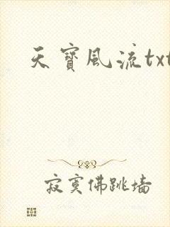 天宝风流txt