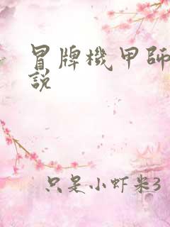 冒牌机甲师 小说