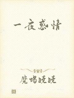 一夜惑情