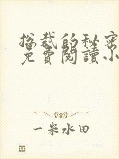 总裁的秘密情人免费阅读小说