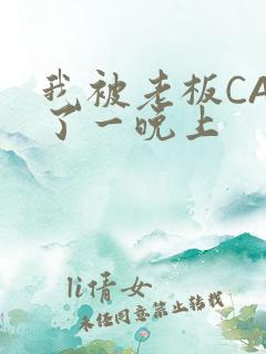 我被老板CAO了一晚上