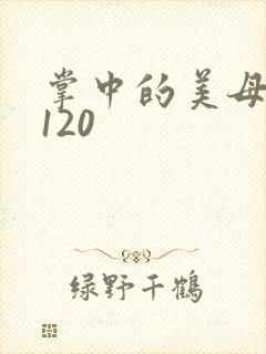 掌中的美母版主120